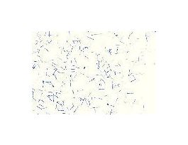 CLOSTRIDIUM TETANI G(+) TETANUS IN MAN.