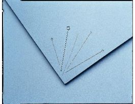 INOCULATING LOOP 5MM 24-GAUGE