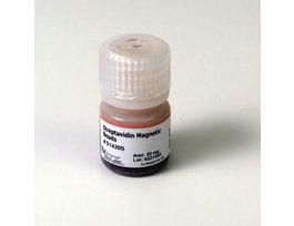 STREPTAVIDIN MAGNETIC BEADS