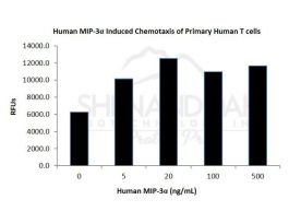 100-147-500UG HUMAN MIP-3 ALPHA / CCL20