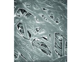 SEPARATOR 10UM PP/PE 25MM DM PK500