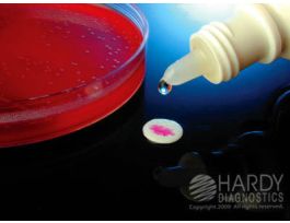 STREPPRO B GROUP LATEX 60TST