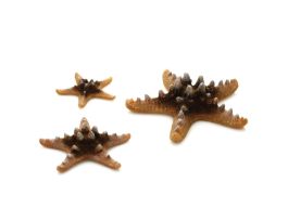 BIORB STARFISH SET 3 NATURAL CS