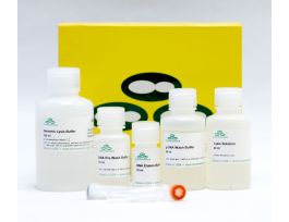 KIT QUICK-DNA FUNGAL/BACTERIAL MINIPREP