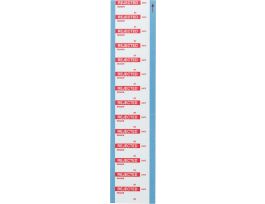 Write-on Labels, REJECTED, 0.625" H x 1.5" W, Card of 14 Labels, Red on White