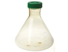 Vented Sterile Fernbach Flask with Plain Bottom, 3 L, Individually Wrapped; 6/cs