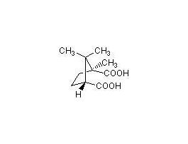 (+)-CAMPHORIC ACID 25GM