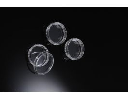 DISH CELL CULTURE EXTERNAL GRIP 35X10 MM