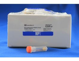 MATRIX A LYSING ZIRC SPHERE 500X2ML TUB