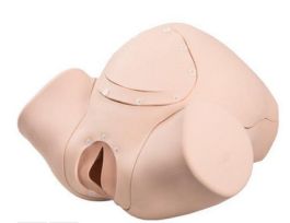 3B BIRTHING SIMULATOR BASIC