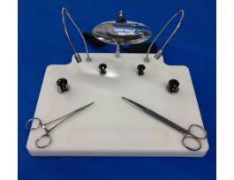 BOARD SM ANML DSCTN LED/MAGFR/MAGT BAS