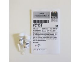 ALPHA 2-3 NEURAMINIDASE S P0743S