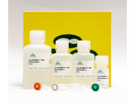 ZYMOBIOMICS DNA MINIPREP KIT 50 PREPS