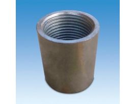 1/4IN FPT SS COUPLING