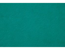 FD ENTEROBACTER AEROGENES (G-)