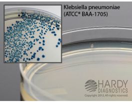 HARDYCHROM CRE PLT 10PK