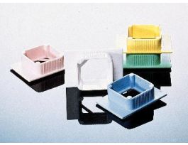 BASE MOLDS 1 1/2X1/1/4IN CS-12