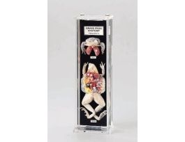 GRASSFROG ANATOMY MUSEUM MOUNT