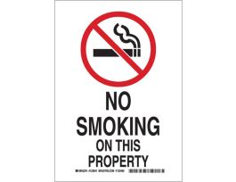 No Smoking On This Property Sign, 14" H x 10" W x 0.006" D, Polyester