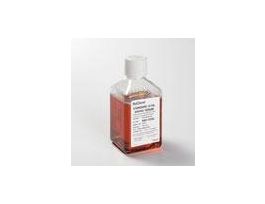 TUBE-CAP PCR 12STRIP2ML PK80. PK