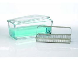 STAINING DISH ONLY 50 SLIDE