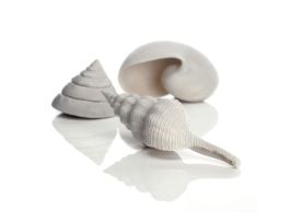 BIORB SEA SHELL SET 3 WHITE CS