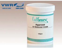 AGAROSE LE CUIGENEX MOL BIOY GRD 100G