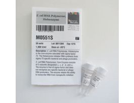 E.COLI RNA POLYMERASE HOLOENZYME