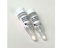 HEMO KLENTAQ - 200 RXN