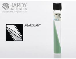 LOWENSTEIN JENSEN GRUFT SLANT PK20.