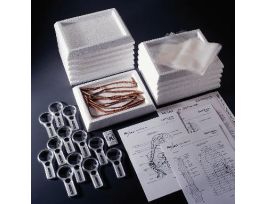 ADVANCED EARTHWORM DISSECTION LAB