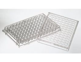 96-Well Microplates, Immunology, PS, Flat, Medium Binding