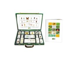 EMBEDMENT INSECT DISPLAY SET