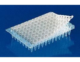 PCR PLATE 24 WELL WHITE PK40