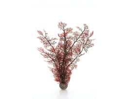 BIORB SEA FAN MEDIUM CRIMSON EA