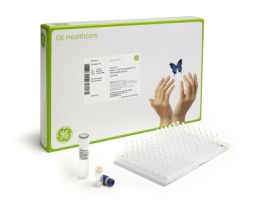 RTG GENOMIPHI V3 KIT 24 RXNS