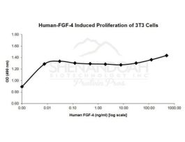 HUMAN FGF-4 5UG