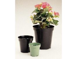FLOWER POT - 3 1/2IN PK100 WL9348-06A