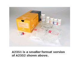 RELIAPREP FFPE GDNA MINI SYS 10 RXN