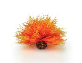 BIORB AQUATIC SEA LILY ORANGE CS
