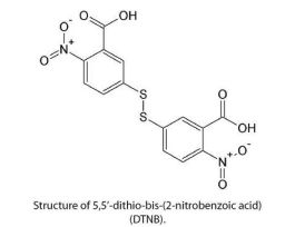DTNB ELLMANS REAGENT MW-396.6 5G