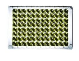 Anti-SSB ELISA Assay Anti-SSB ELISA assays for Infectious Disease & Autoimmune diagnostic testing,