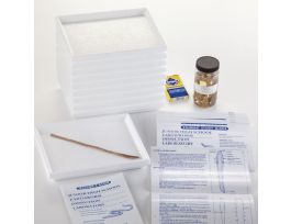 BOREAL EARTHWORM DISS. LAB