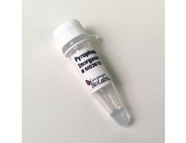 PYROPHOSPHATASE, INORGANIC