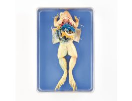 GRASSFROG 4-5 2X INJ PURE SOLN PL/10