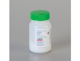 AMYLASE (BACT. POWDER) 25G