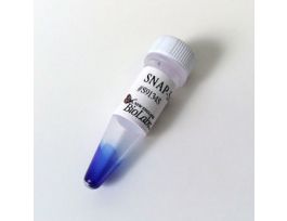 SNAP SURFACE 600 50 NMOL.