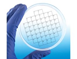 LABELS 50 SQ GRID PK36 PK