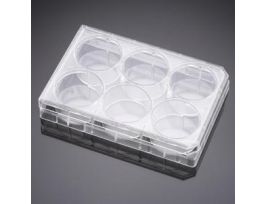 PLATE MULTIWEL W/LID 48WL CS50.