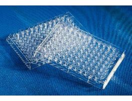UV PLATE 96WELL HALF AREA CS50